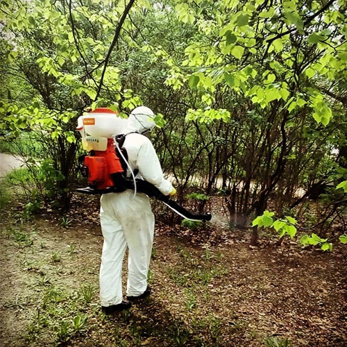 Обновление товаров и услуг в городе
 Кисловодск