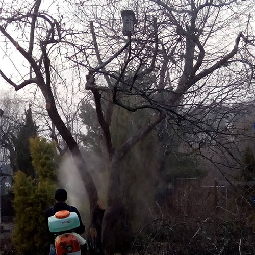 Новые товары и услуги в районе метро
 Юго-Западная