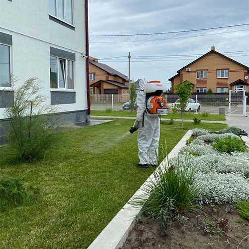 Что нового в городе
 Шарыпово?