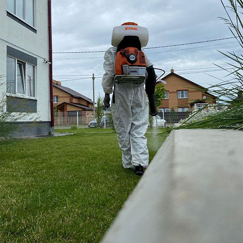 Обновление товаров и услуг в городе
 Курильск