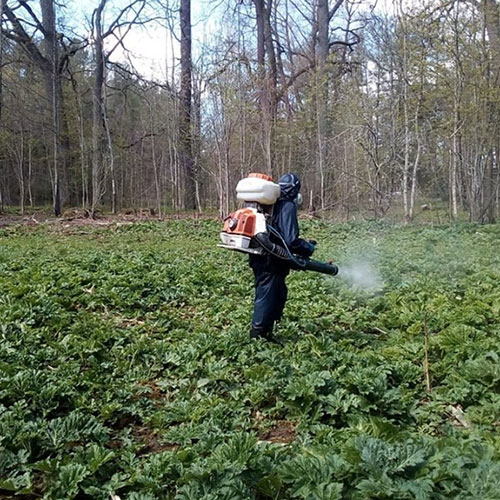 Новые товары и услуги в районе
 Вешняки