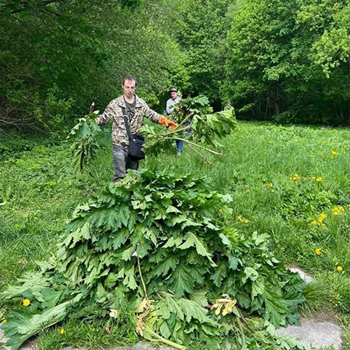 Последние изменения в городе
 Верхнеуральск