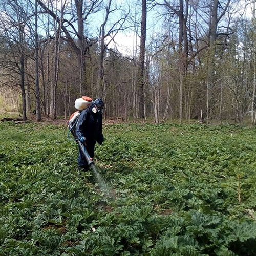 Обновление товаров и услуг в городе
 Майский