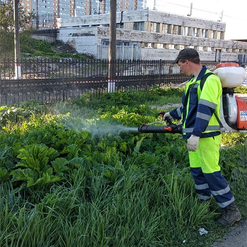 Новые товары и услуги в городе
 Короча