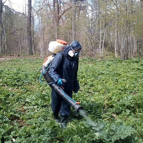 Обновление товаров и услуг в городе
 Инза