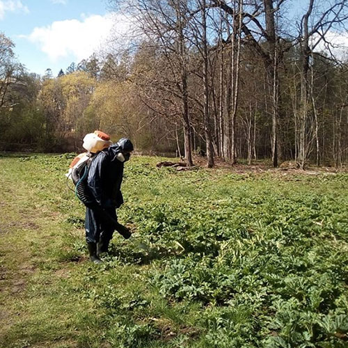 Новые товары и услуги в городе
 Белоярский