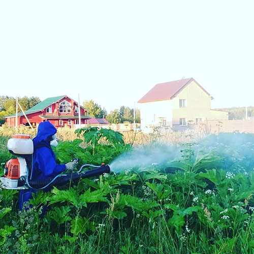 Что нового в городе
 Гороховец?