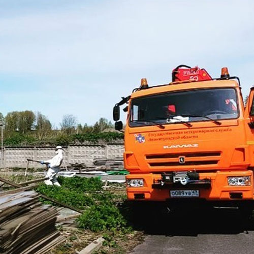 Новые товары и услуги в районе метро
 Спортивная-Ф